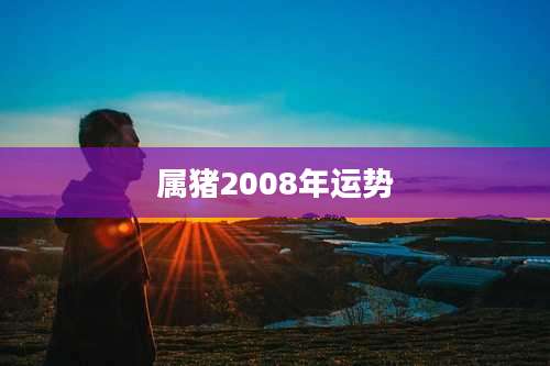 属猪2008年运势