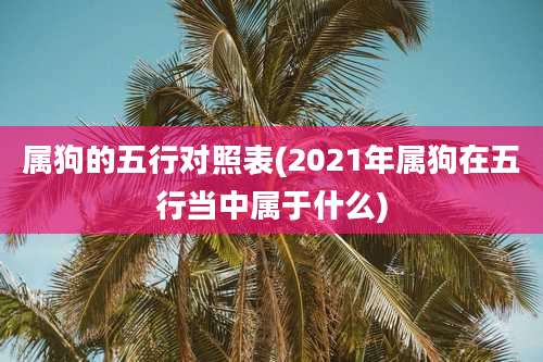 属狗的五行对照表(2021年属狗在五行当中属于什么)