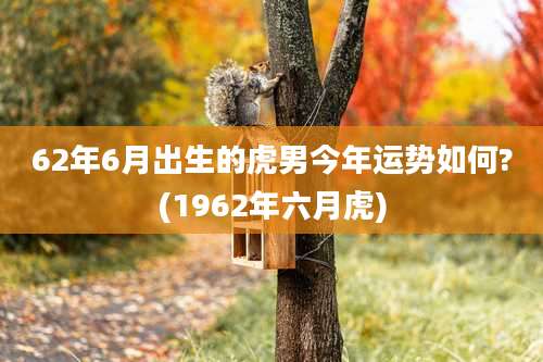 62年6月出生的虎男今年运势如何?(1962年六月虎)
