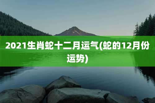 2021生肖蛇十二月运气(蛇的12月份运势)