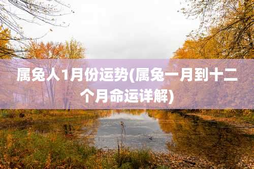 属兔人1月份运势(属兔一月到十二个月命运详解)