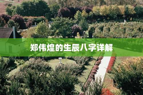 郑伟煌的生辰八字详解