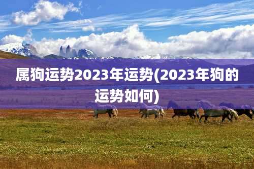 属狗运势2023年运势(2023年狗的运势如何)