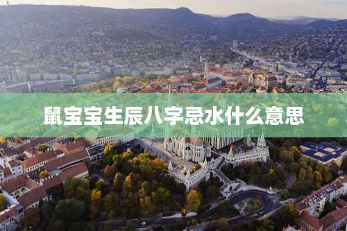 鼠宝宝生辰八字忌水什么意思