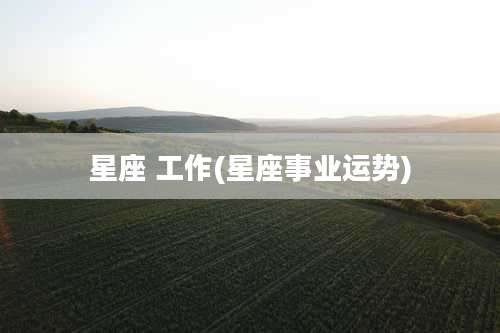 星座 工作(星座事业运势)