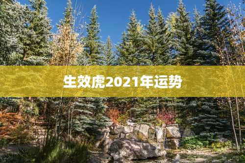 生效虎2021年运势