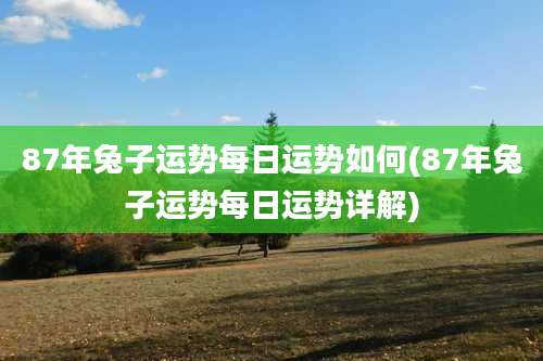 87年兔子运势每日运势如何(87年兔子运势每日运势详解)