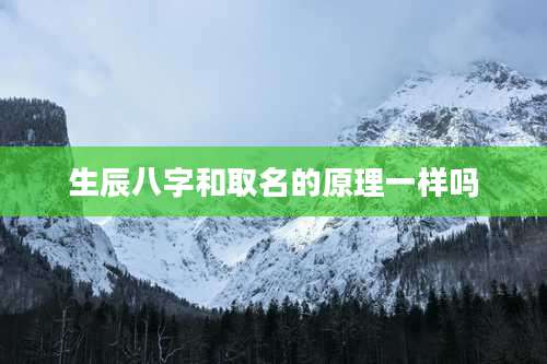 生辰八字和取名的原理一样吗