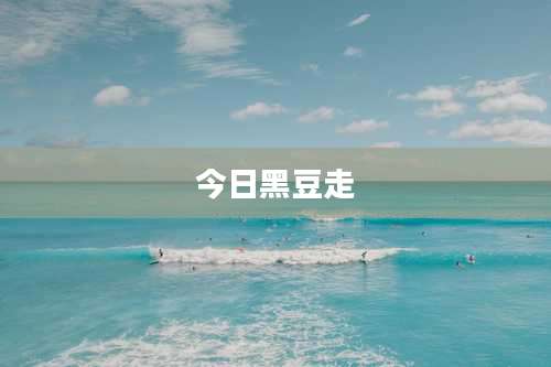 今日黑豆走