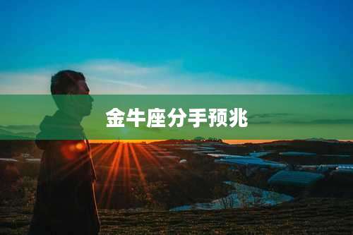 金牛座分手预兆