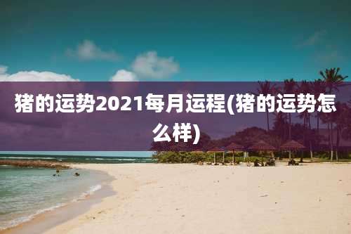 猪的运势2021每月运程(猪的运势怎么样)