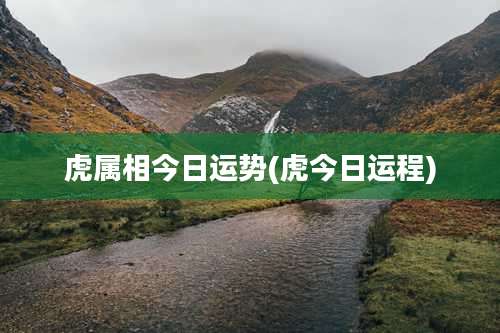 虎属相今日运势(虎今日运程)