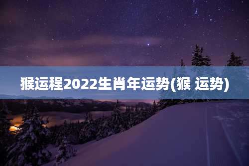 猴运程2022生肖年运势(猴 运势)