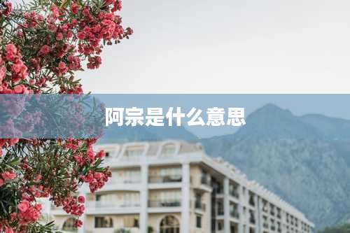 阿宗是什么意思