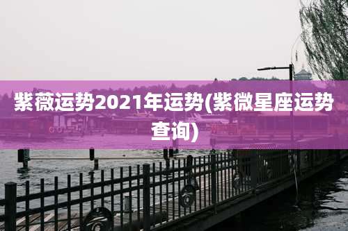 紫薇运势2021年运势(紫微星座运势查询)