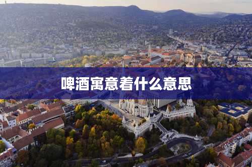 啤酒寓意着什么意思