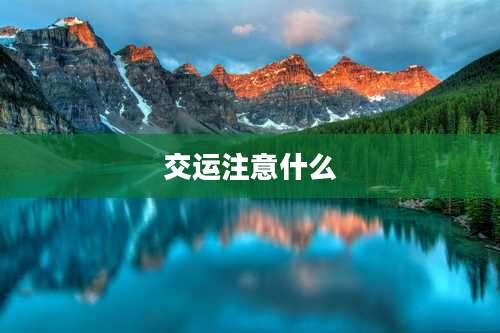 交运注意什么