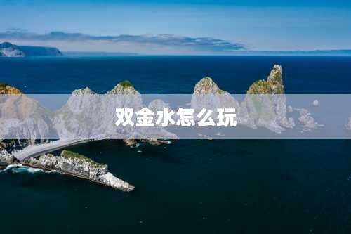 双金水怎么玩