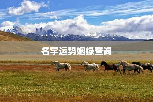 名字运势姻缘查询