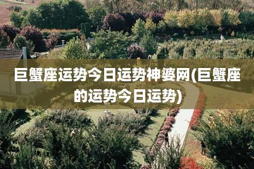 巨蟹座运势今日运势神婆网(巨蟹座的运势今日运势)