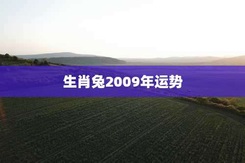 生肖兔2009年运势