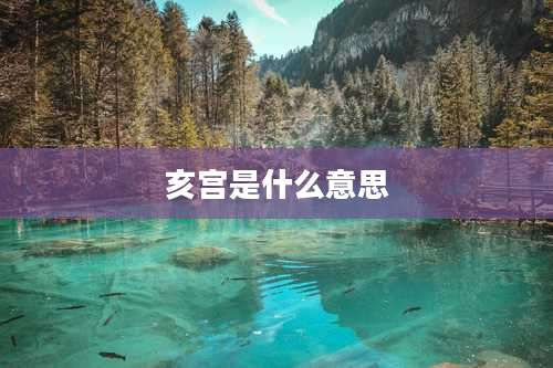 亥宫是什么意思