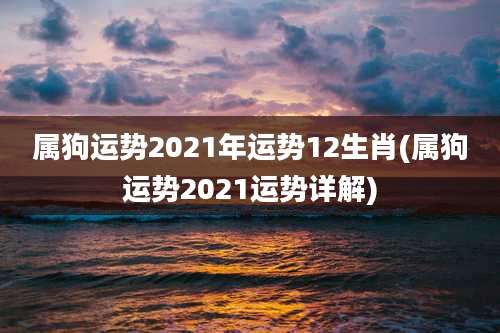 属狗运势2021年运势12生肖(属狗运势2021运势详解)