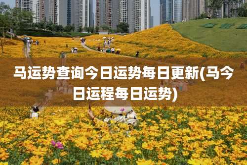 马运势查询今日运势每日更新(马今日运程每日运势)