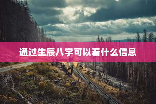 通过生辰八字可以看什么信息