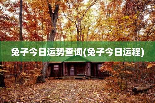 兔子今日运势查询(兔子今日运程)