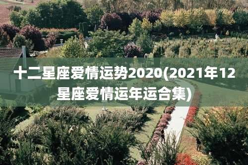 十二星座爱情运势2020(2021年12星座爱情运年运合集)
