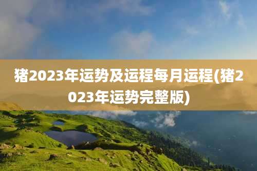 猪2023年运势及运程每月运程(猪2023年运势完整版)