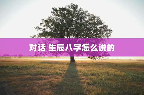 对话 生辰八字怎么说的