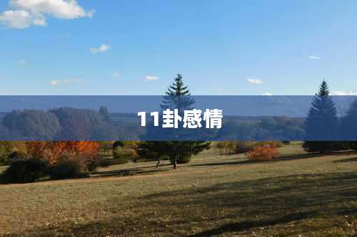 11卦感情