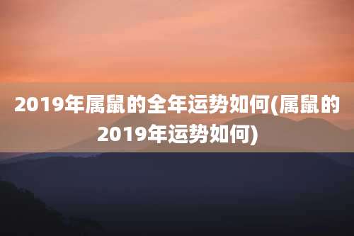 2019年属鼠的全年运势如何(属鼠的2019年运势如何)