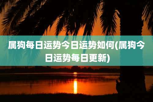 属狗每日运势今日运势如何(属狗今日运势每日更新)