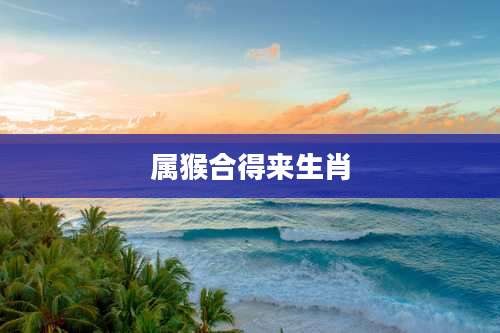 属猴合得来生肖