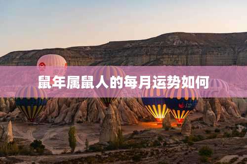 鼠年属鼠人的每月运势如何