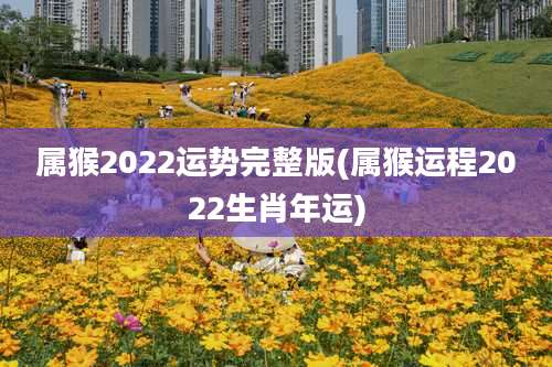 属猴2022运势完整版(属猴运程2022生肖年运)