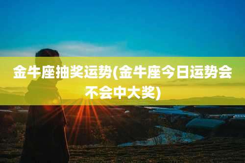 金牛座抽奖运势(金牛座今日运势会不会中大奖)