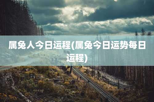 属兔人今日运程(属兔今日运势每日运程)