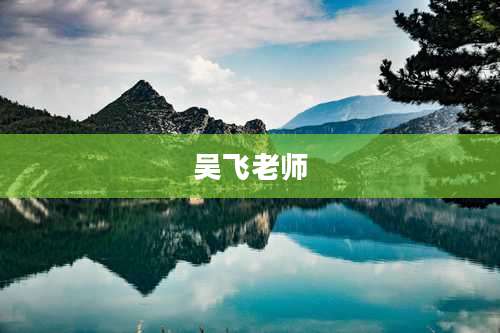 吴飞老师