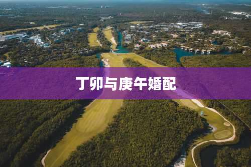 丁卯与庚午婚配