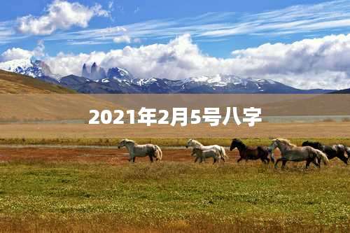 2021年2月5号八字