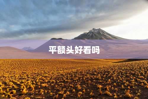 平额头好看吗
