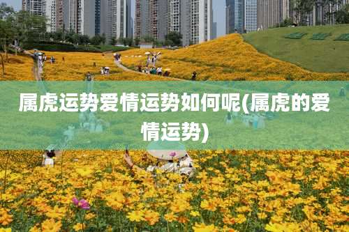 属虎运势爱情运势如何呢(属虎的爱情运势)