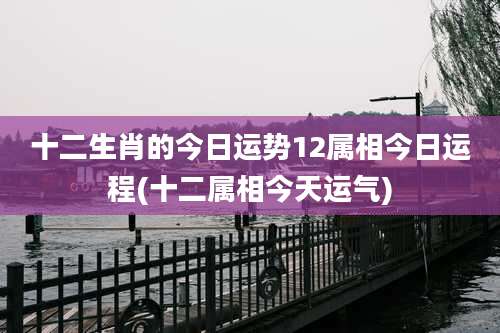 十二生肖的今日运势12属相今日运程(十二属相今天运气)