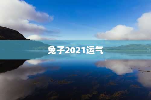 兔子2021运气