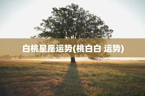 白桃星座运势(桃白白 运势)