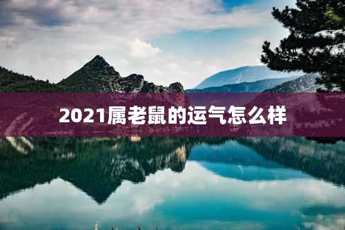 2021属老鼠的运气怎么样